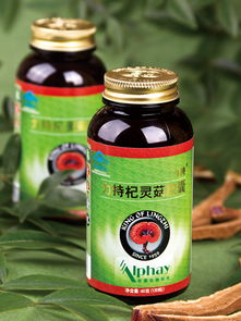 关于两款全新食用菌冲饮粉产品上市的通知